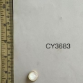 CY3683