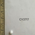 CY3717