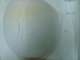 CBA0026col.1-80