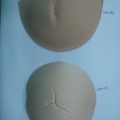 CBA0068-0069