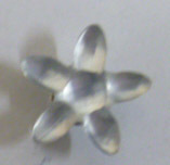 CBB4423