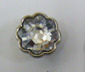 CBB4496