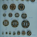 CBB1558-1560
