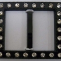 CBB4299
