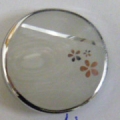 CBB4371