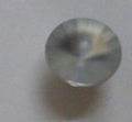 CBB4419