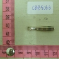 CBB5066