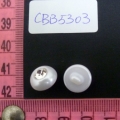 CBB5303