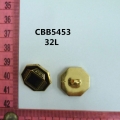 CBB5453