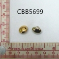 CBB5699