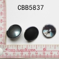 CBB5837