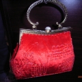 CBG0374-COL1