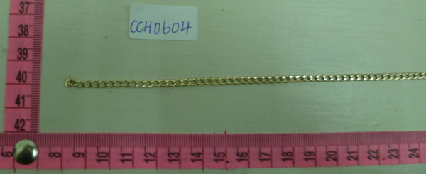 CCH0604