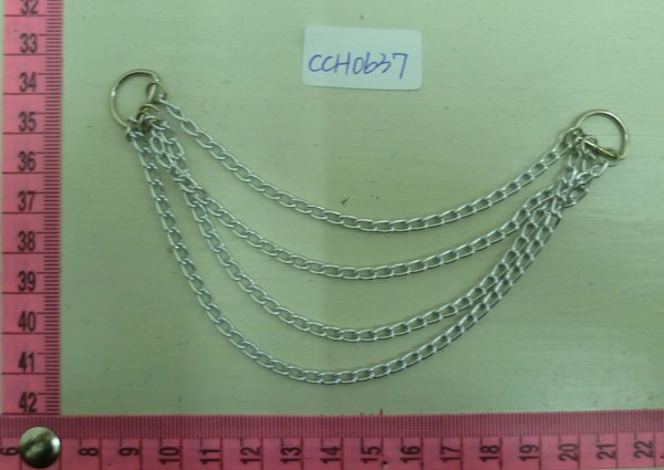 CCH0637