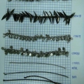 CCH0077-0081