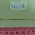 CCH0606