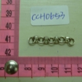 CCH0653