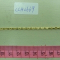 CCH0669