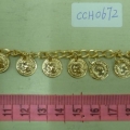 CCH0672