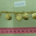 CCH0674