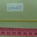 CCH0677