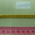 CCH0679