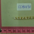 CCH0690
