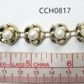 CCH0817