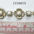 CCH0819