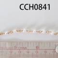 CCH0841
