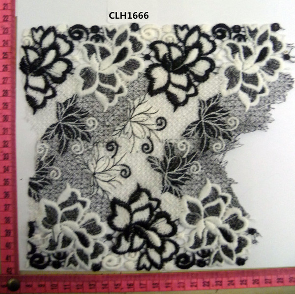 CLH1666