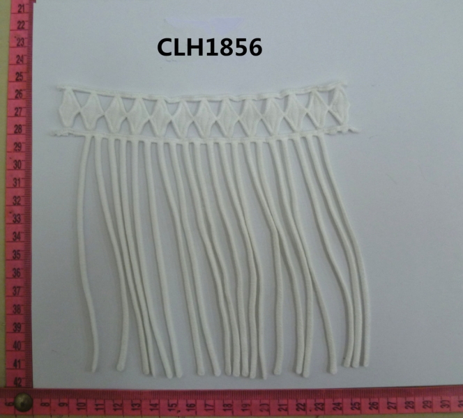 CLH1856