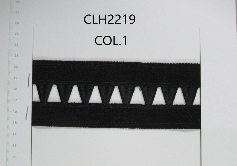 CLH2219