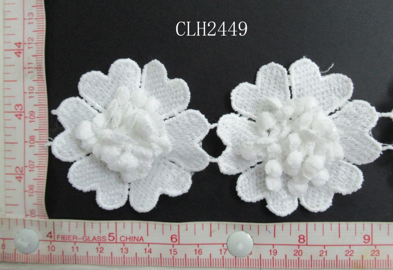 CLH2449