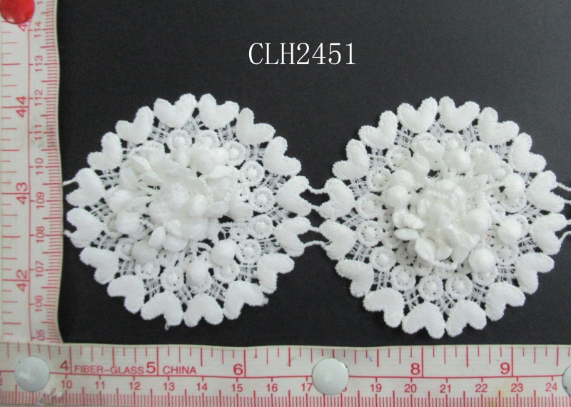 CLH2451