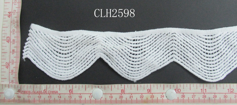 CLH2598
