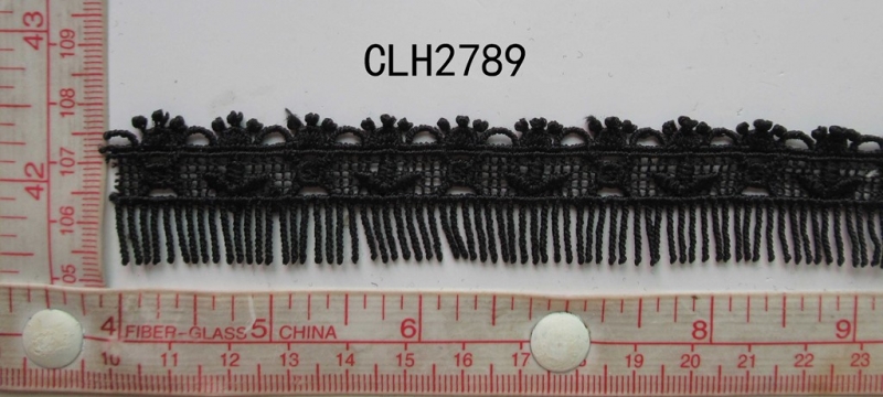CLH2789