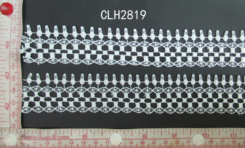 CLH2819