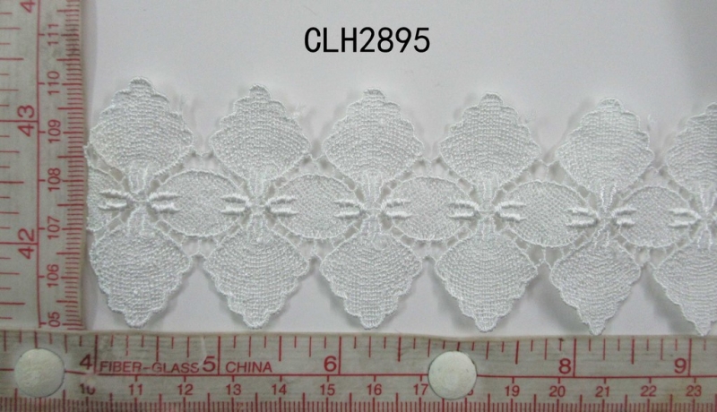CLH2895