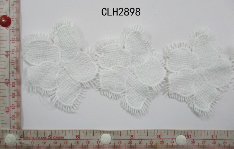 CLH2898
