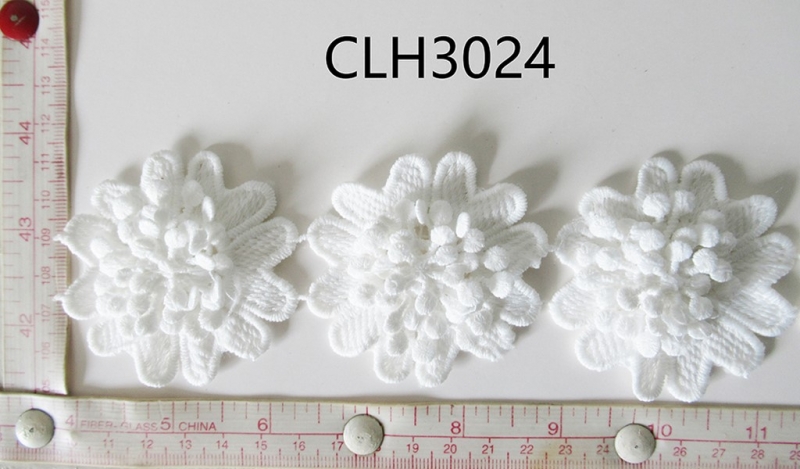CLH3024