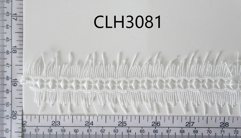 CLH3081