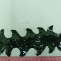 CLH1151