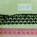 CLH1181