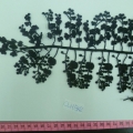 CLH1302