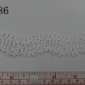 CLH1986