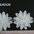 CLH2124
