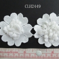 CLH2449