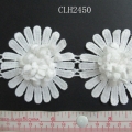 CLH2450
