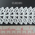 CLH2481